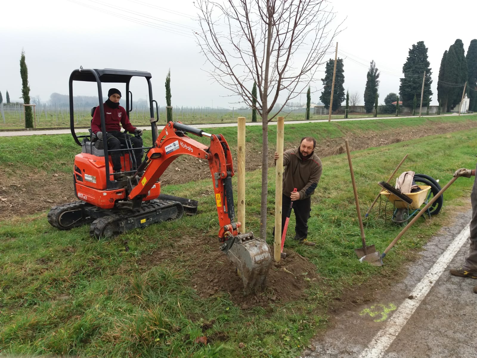 Immagine per Nuove piantumazioni di alberi a San Canzian d'Isonzo e Grado